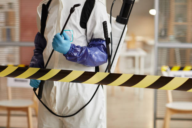 Professional Sewage Cleanup technician working in Orleans, IN